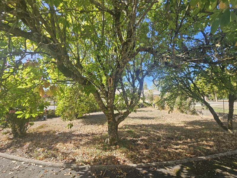 Vente Maison Montguyon - 7 pièces -151 m² - (17270)