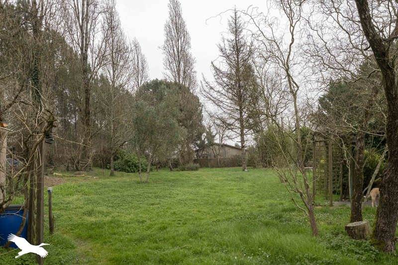 Vente Maison Le Fouilloux - 4 pièces -138 m² - (17270)