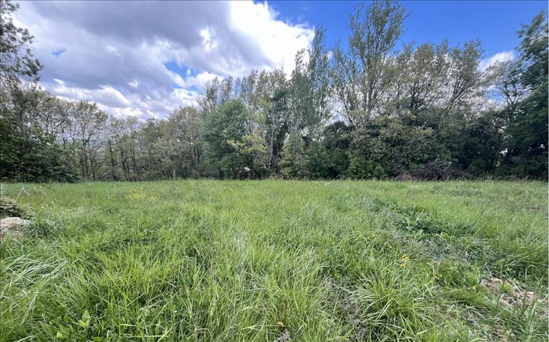 Vente Terrain LASSERRE - -3300 m² - (31530)