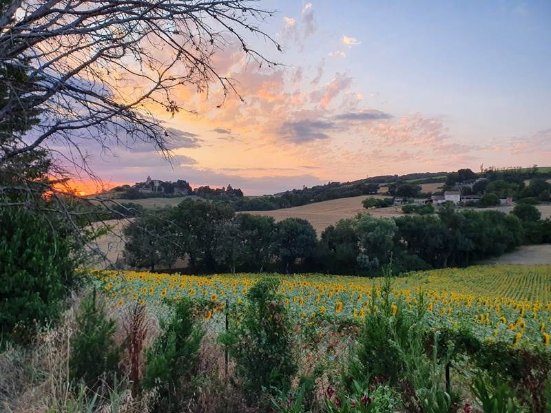 Vente Maison LE CASTERA - 8 pièces -270 m² - (31530)