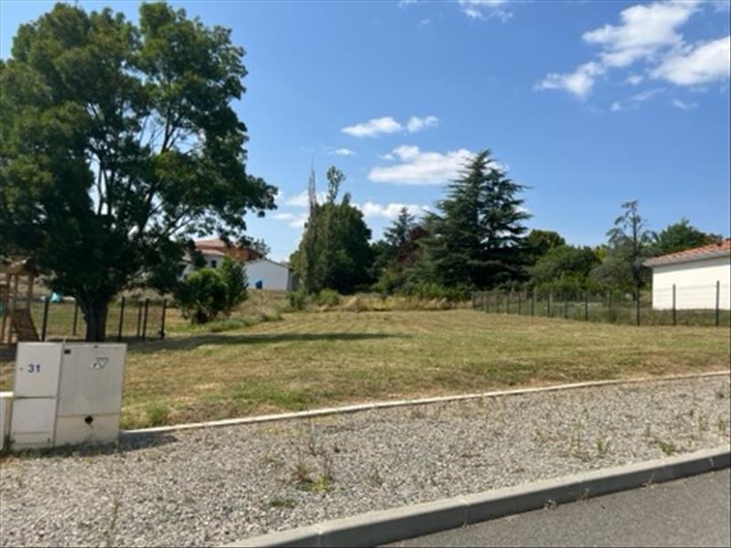 Vente Terrain GIMONT - -887 m² - (32200)