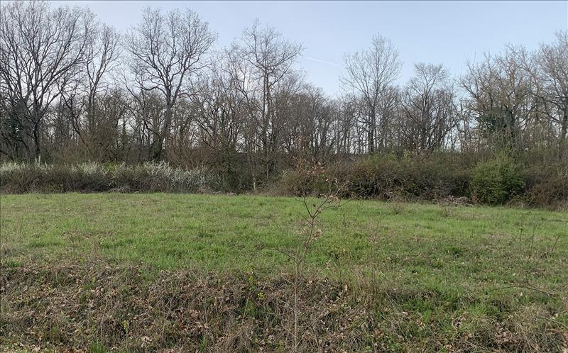 Vente Terrain SOLOMIAC - -1195 m² - (32120)
