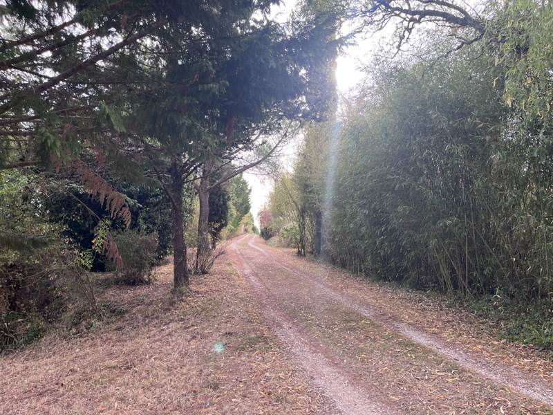 Vente Maison Castelnau-Barbarens - 8 pièces -270 m² - (32450)