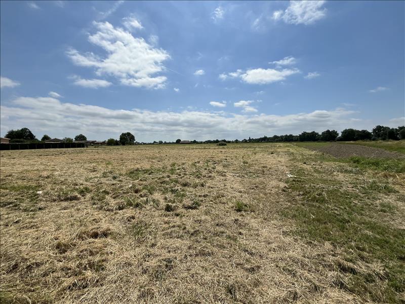 Vente Terrain CASTELSARRASIN - -20000 m² - (82100)