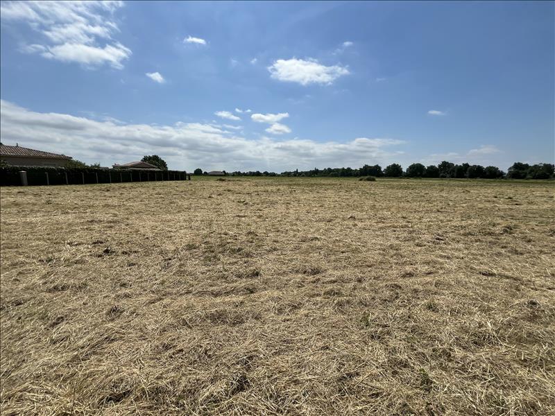 Vente Terrain CASTELSARRASIN - -20000 m² - (82100)