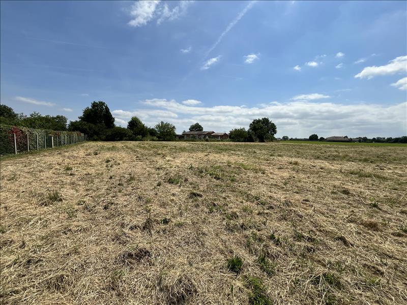 Vente Terrain CASTELSARRASIN - -20000 m² - (82100)