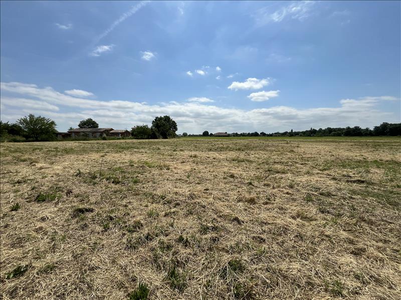 Vente Terrain CASTELSARRASIN - -20000 m² - (82100)