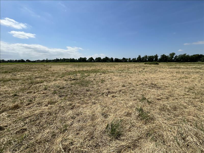 Vente Terrain CASTELSARRASIN - -2796 m² - (82100)