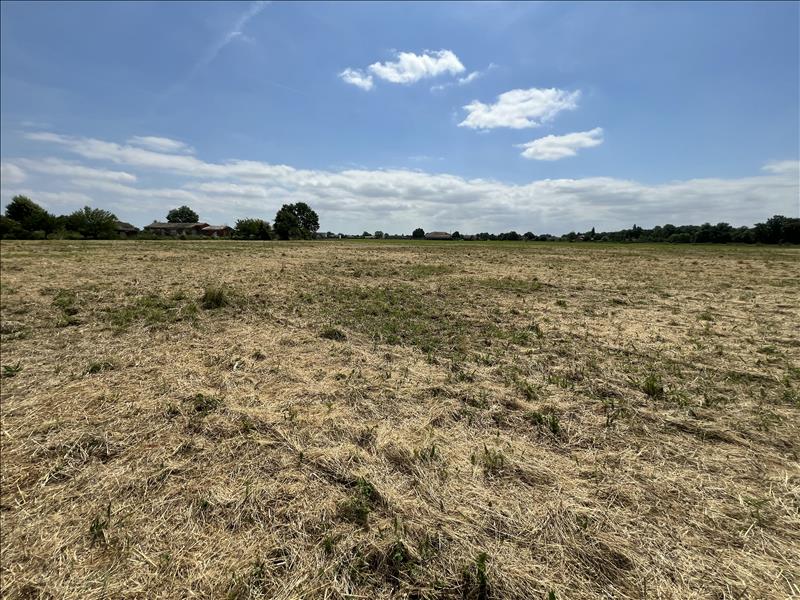 Vente Terrain CASTELSARRASIN - -2796 m² - (82100)
