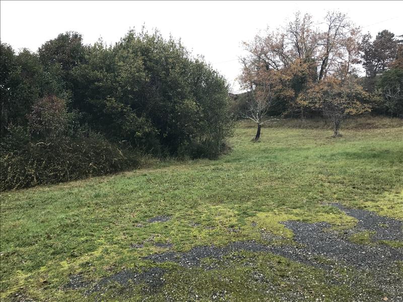 Vente Terrain AUCH - -2000 m² - (32000)