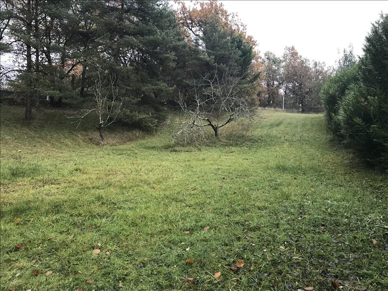 Vente Terrain AUCH - -2000 m² - (32000)