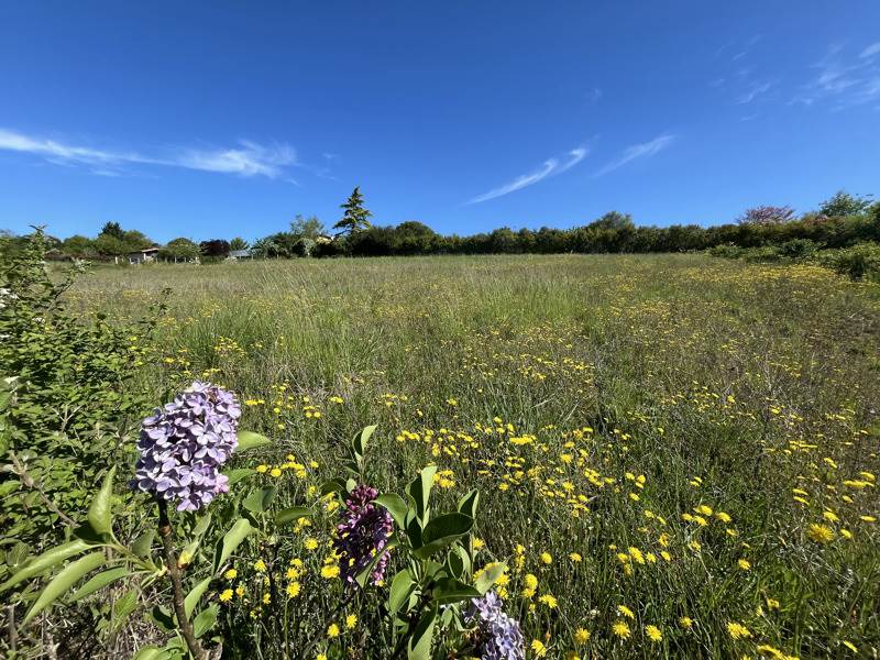 Vente Terrain LASSERAN - -1170 m² - (32550)