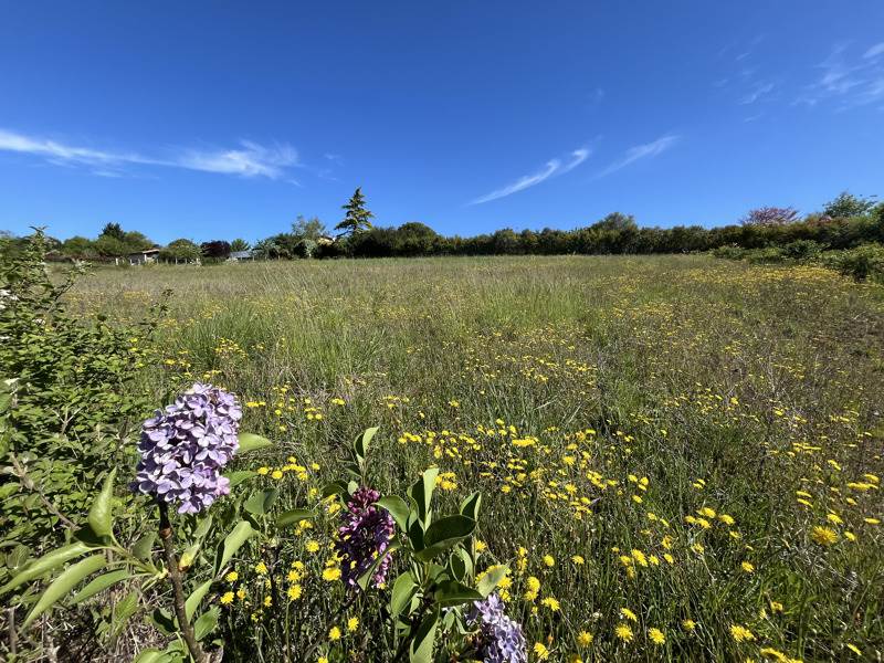 Vente Terrain LASSERAN - -1529 m² - (32550)