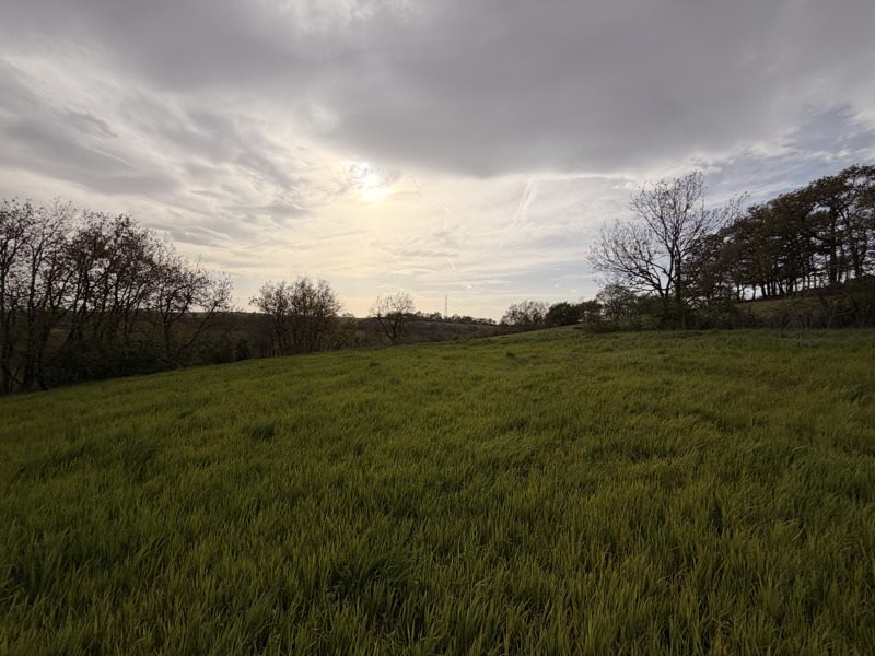 Vente Terrain PESSAN - -9886 m² - (32550)