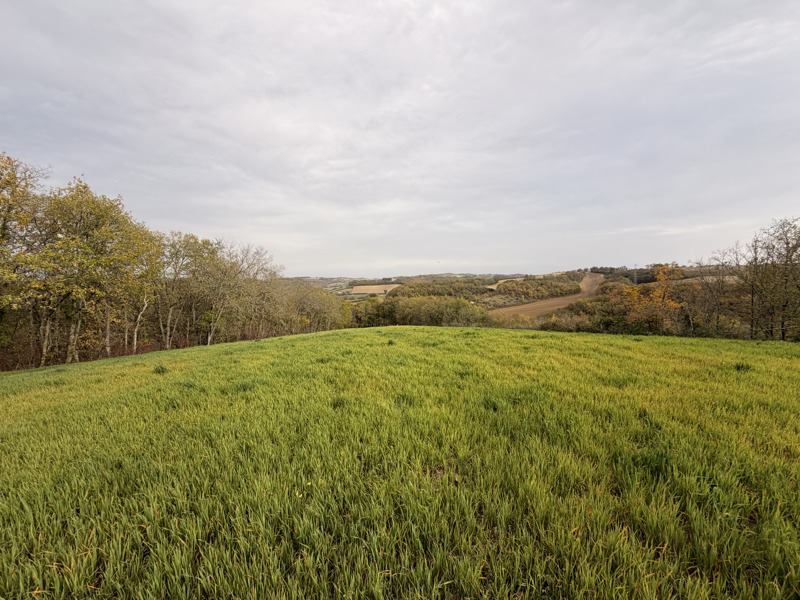 Vente Terrain PESSAN - -9886 m² - (32550)