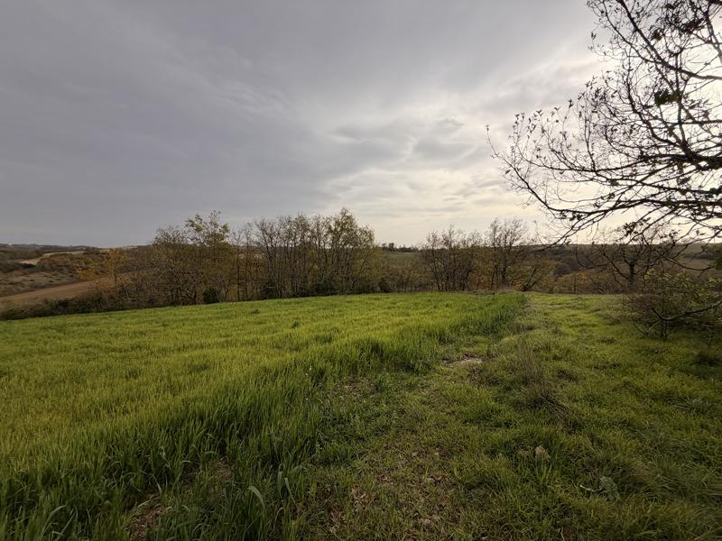 Vente Terrain PESSAN - -9886 m² - (32550)