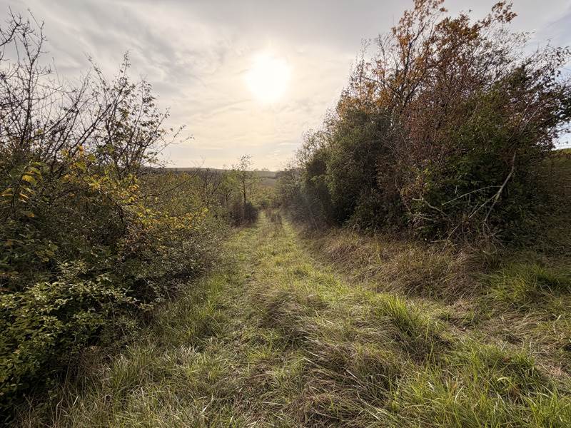 Vente Terrain PESSAN - -9886 m² - (32550)