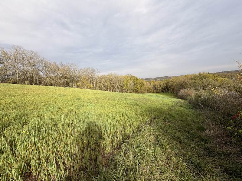 Vente Terrain PESSAN - -9886 m² - (32550)