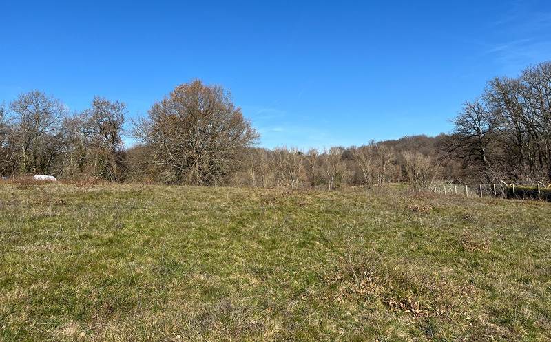 Vente Terrain SANA - -2849 m² - (31220)