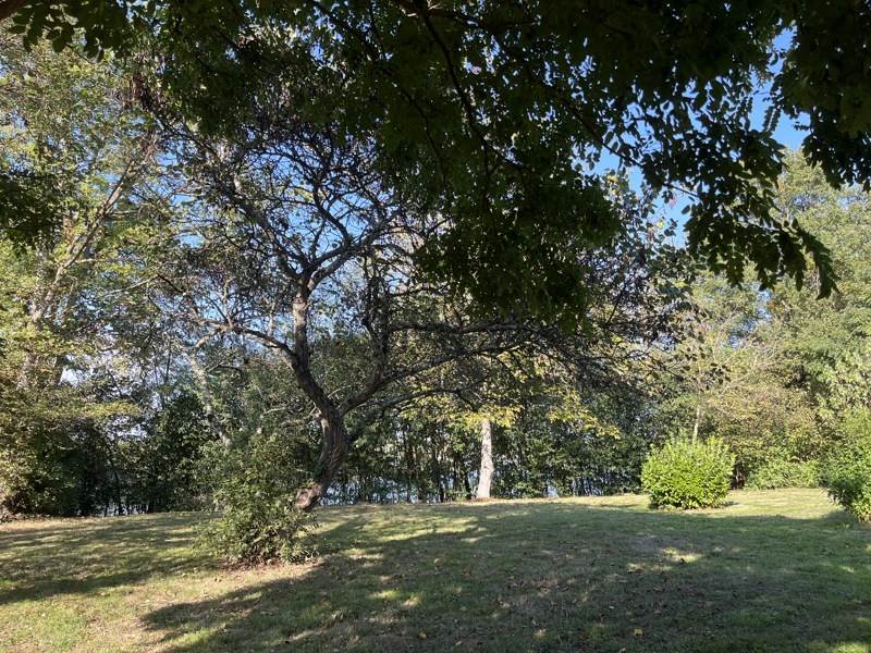 Vente Maison GENSAC SUR GARONNE - 3 pièces -54 m² - (31310)