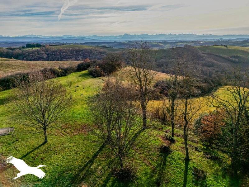 Vente Maison LATRAPE - 6 pièces -182 m² - (31310)