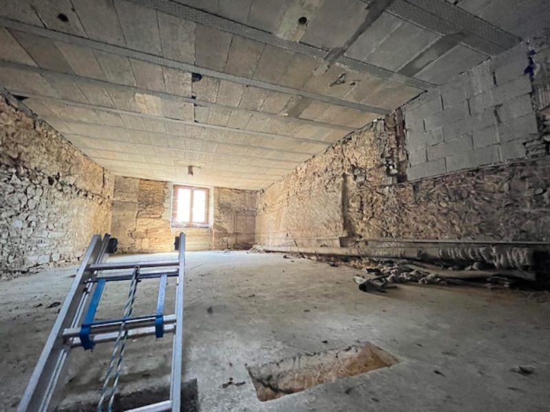 Vente Immeuble AIXE SUR VIENNE - -  186 m² - (87700)