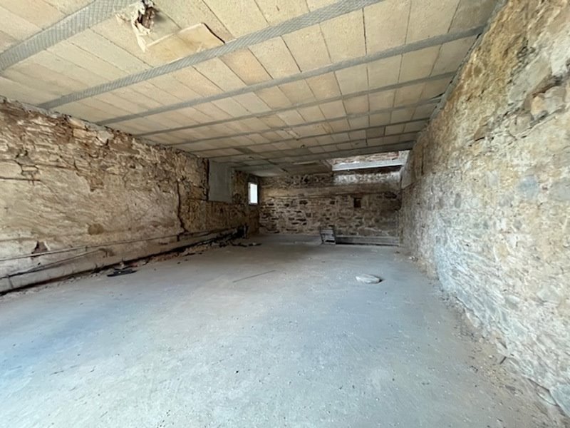 Vente Immeuble AIXE SUR VIENNE - -  186 m² - (87700)