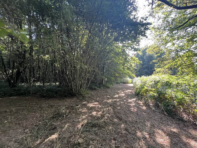 Vente Terrain VERNEUIL SUR VIENNE 87430  37425 m²