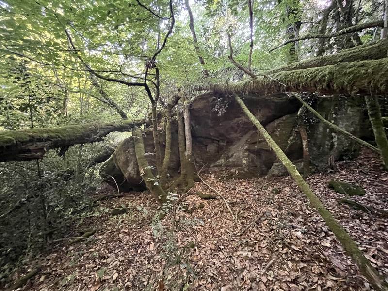 Vente Terrain VERNEUIL SUR VIENNE - -37425 m² - (87430)