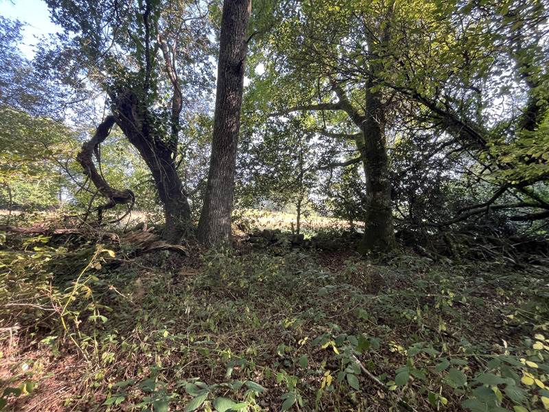 Vente Terrain VERNEUIL SUR VIENNE - -37425 m² - (87430)