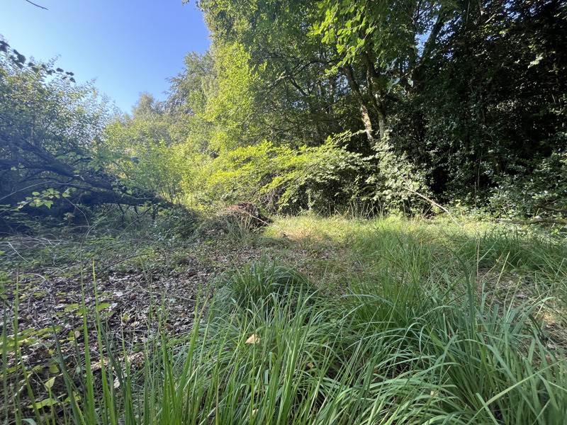Vente Terrain VERNEUIL SUR VIENNE - -37425 m² - (87430)