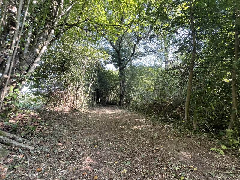 Vente Terrain VERNEUIL SUR VIENNE - -37425 m² - (87430)