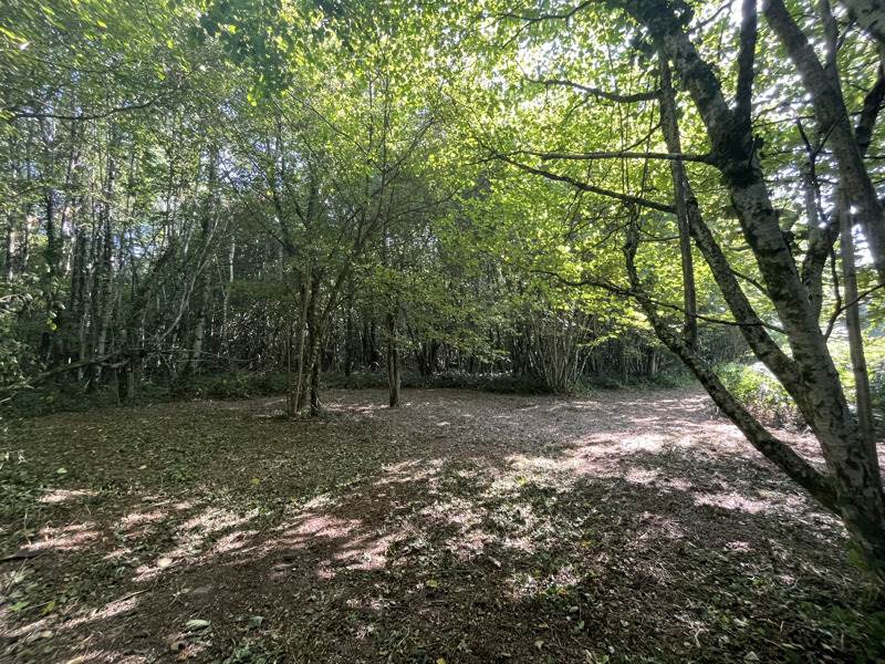 Vente Terrain VERNEUIL SUR VIENNE - -37425 m² - (87430)