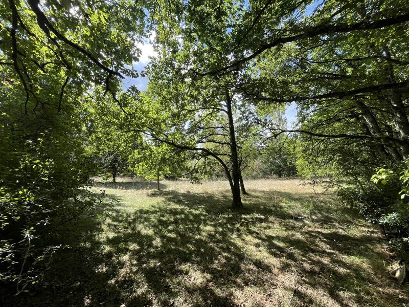 Vente Maison BURGNAC - 4 pièces -87 m² - (87800)