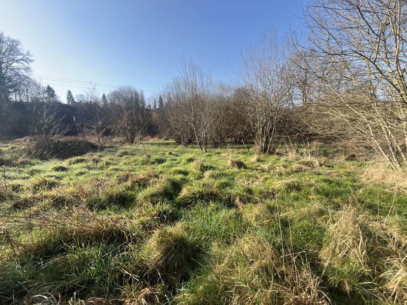 Vente Terrain AIXE SUR VIENNE - -25582 m² - (87700)