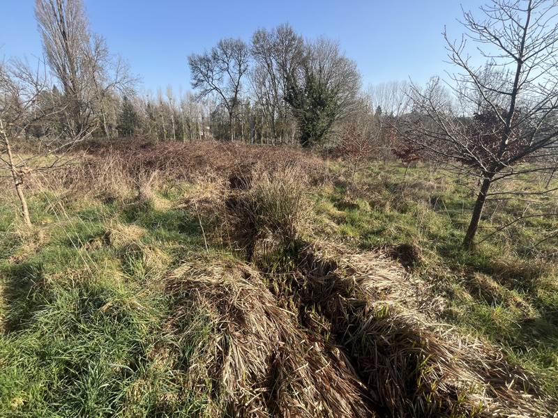 Vente Terrain AIXE SUR VIENNE - -25582 m² - (87700)