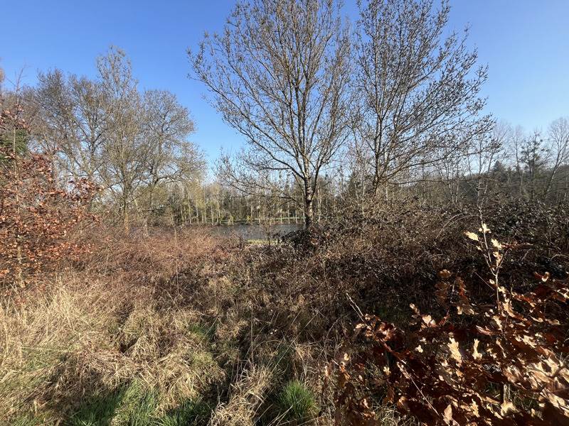 Vente Terrain AIXE SUR VIENNE - -25582 m² - (87700)
