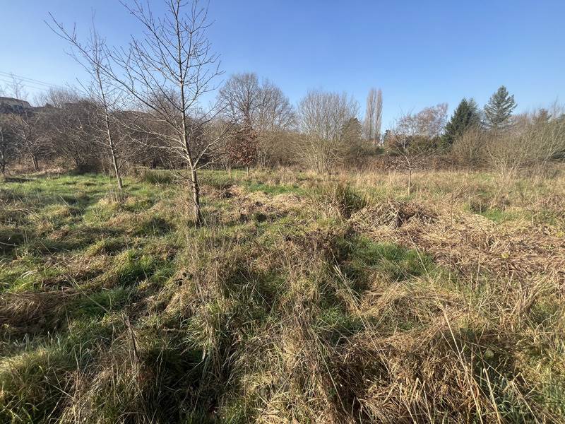 Vente Terrain AIXE SUR VIENNE - -25582 m² - (87700)