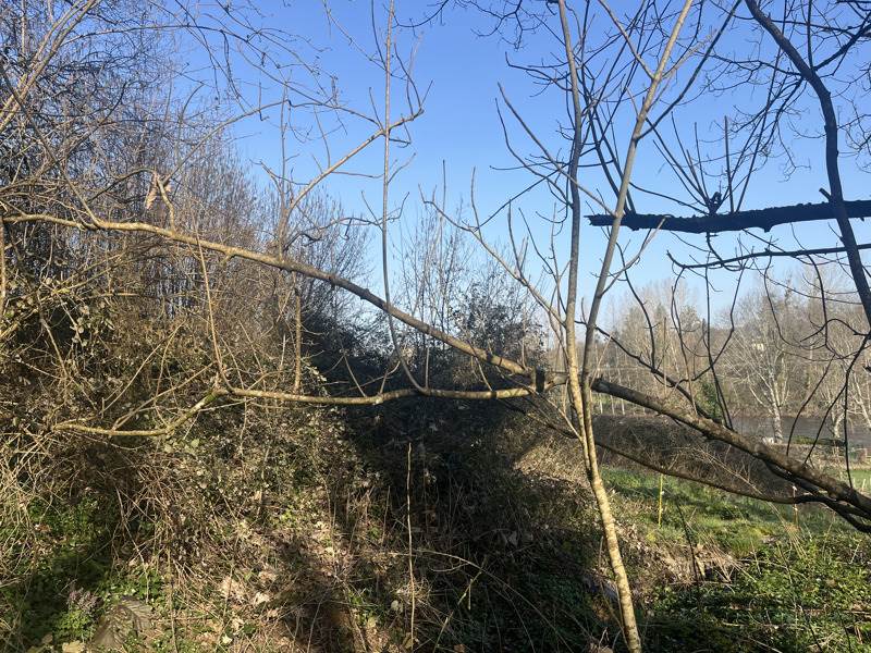 Vente Terrain AIXE SUR VIENNE - -25582 m² - (87700)