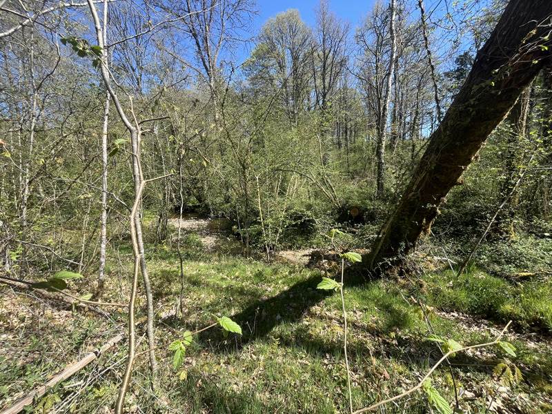 Vente Terrain VERNEUIL SUR VIENNE - -4320 m² - (87430)