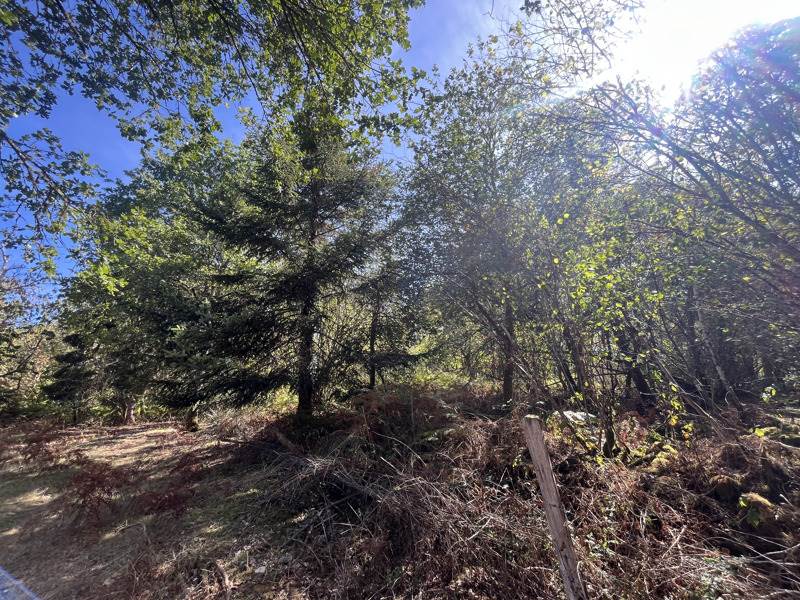 Vente Terrain COGNAC LA FORET - -9300 m² - (87310)