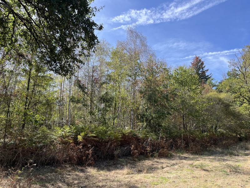 Vente Terrain COGNAC LA FORET - -9300 m² - (87310)