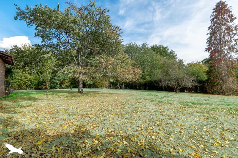 Vente Maison Cognac-la-Forêt - 5 pièces -205 m² - (87310)