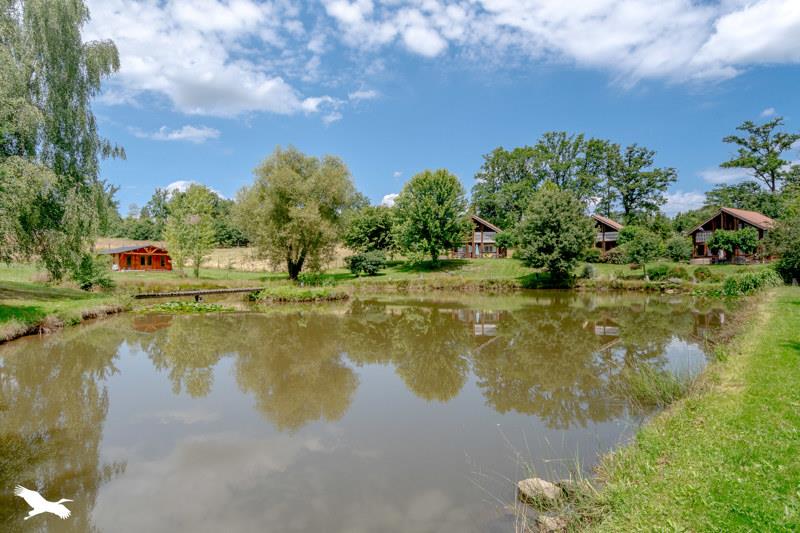 Vente Appartement Meilhac - 10 pièces -320 m² - (87800)