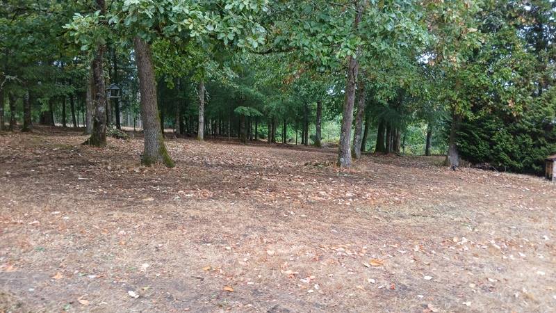 Vente Maison Cognac-la-Forêt - 4 pièces -122 m² - (87310)