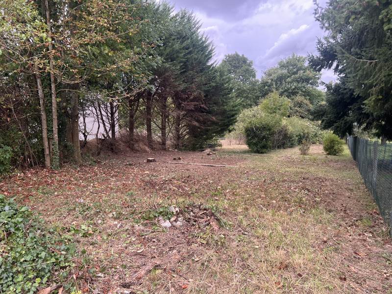 Vente Terrain BEYNES - -1203 m² - (78650)