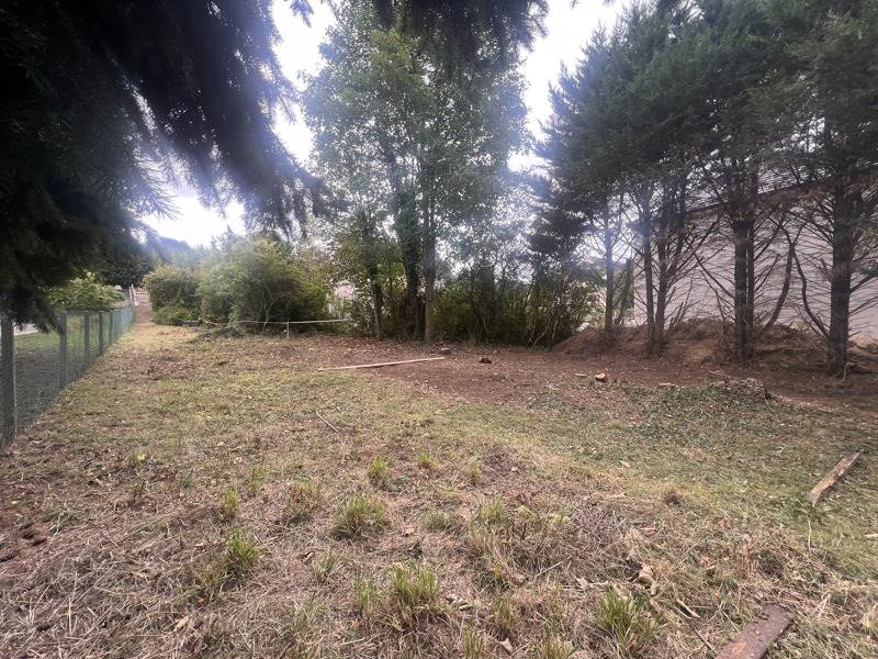Vente Terrain BEYNES - -1203 m² - (78650)