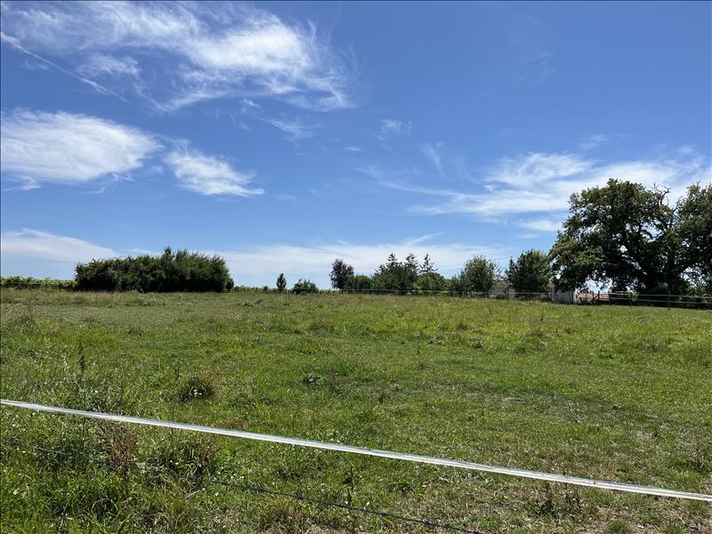 Vente Terrain ST QUANTIN DE RANCANNE - -1818 m² - (17800)