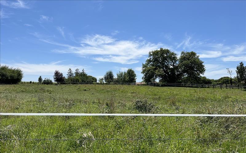 Terrain 3 pièces 1818 m²