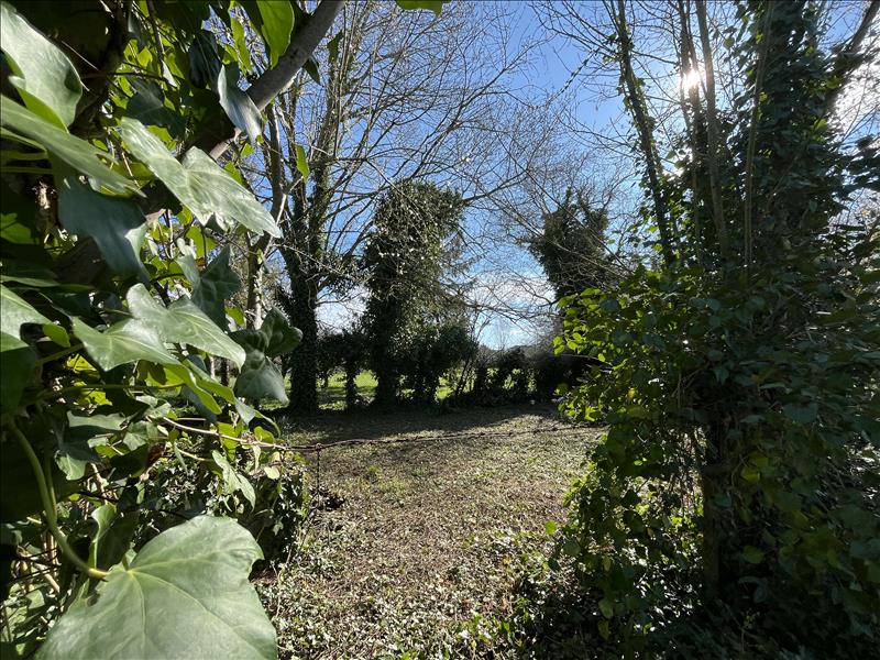 Vente Maison PERIGNAC - 6 pièces -160 m² - (17800)